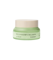 PHYTO PLUMP COLLAGÈNE crème de jour 50 ml