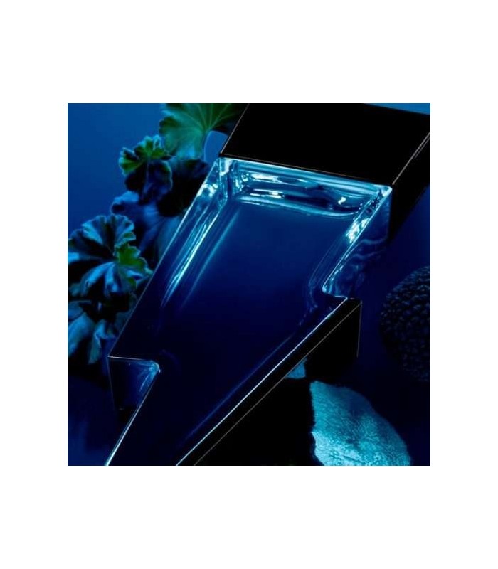 BAD BOY COBALT edp vapo 100 ml