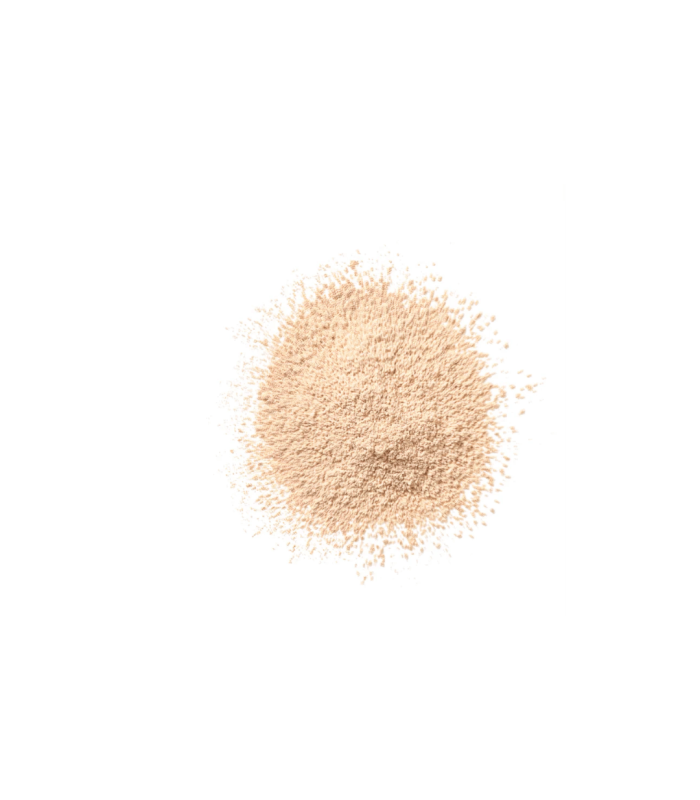 BLENDED face  - powder 03 transparency 25 gr