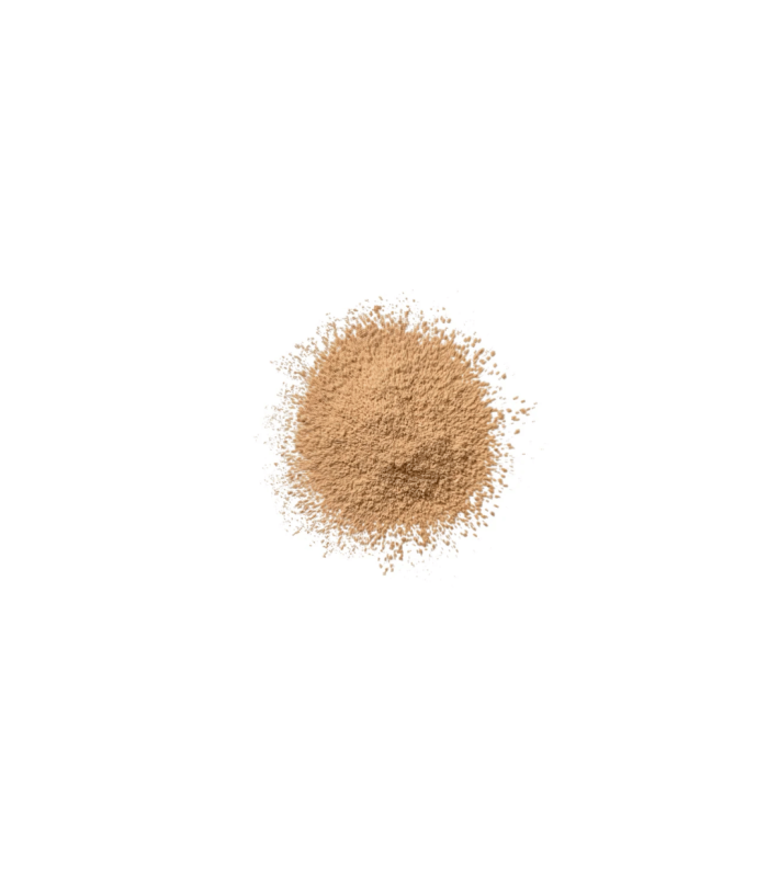 BLENDED face  - powder 04 transparency 25 gr