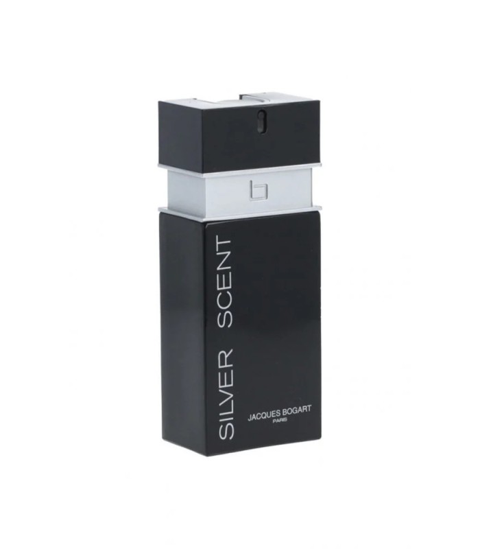 SILVER SCENT eau de toilette 100 ml