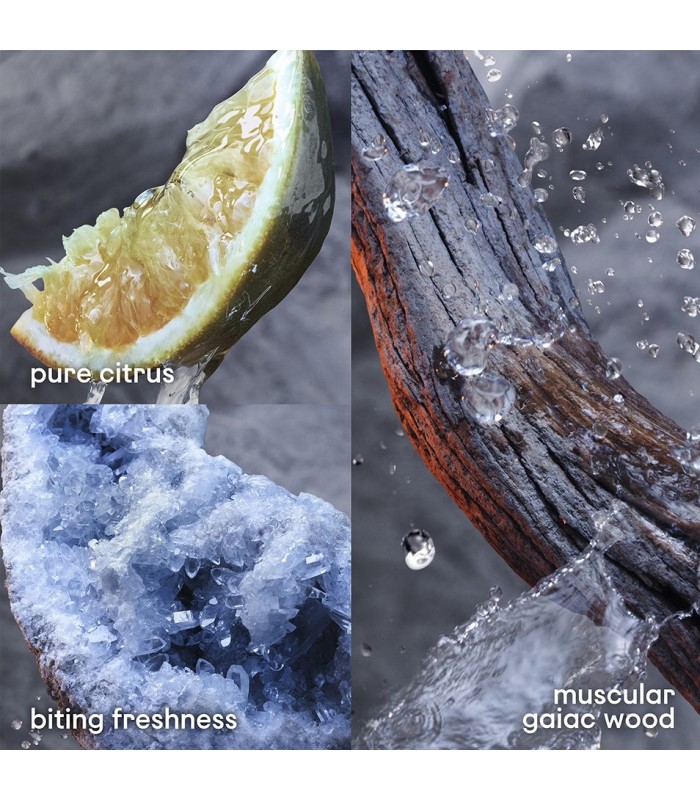 INVICTUS lotion après-rasage 100 ml