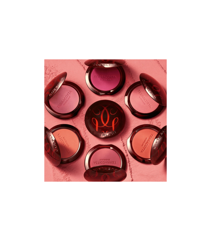 TERRACOTTA BLUSH  - Rose Foncé 04