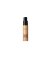 PRO LONGWEAR concealer #NC25