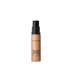 PRO LONGWEAR concealer #NW25