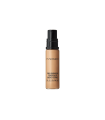 PRO LONGWEAR concealer #NC30