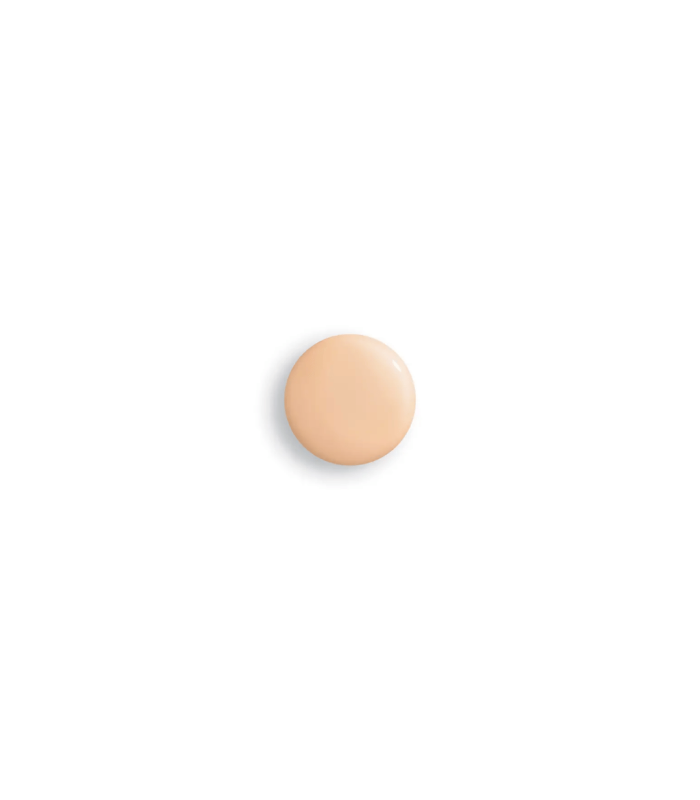 PHYTO TEINT PERFECTION 1W1 Ecr 30 ml