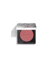 PHYTO-BLUSH éclat #5-rosewood