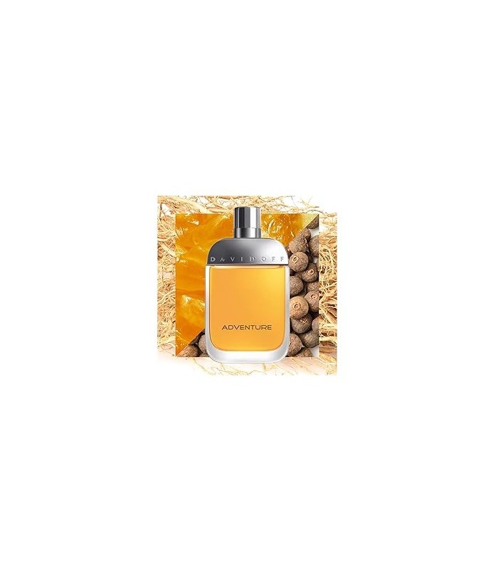 ADVENTURE  - eau de toilette 100 ml
