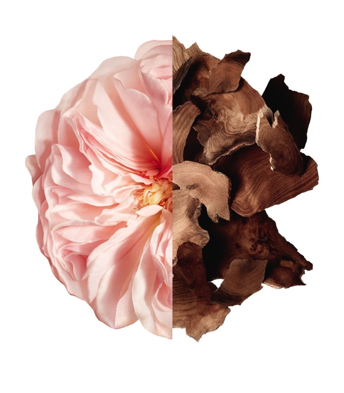 IRRESISTIBLE - l'huile de douche 200 ml