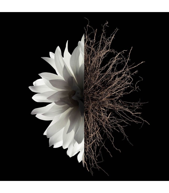 L'INTERDIT  - déodorant 100 ml