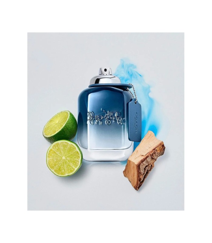 COACH BLUE  - eau de toilette 100 ml