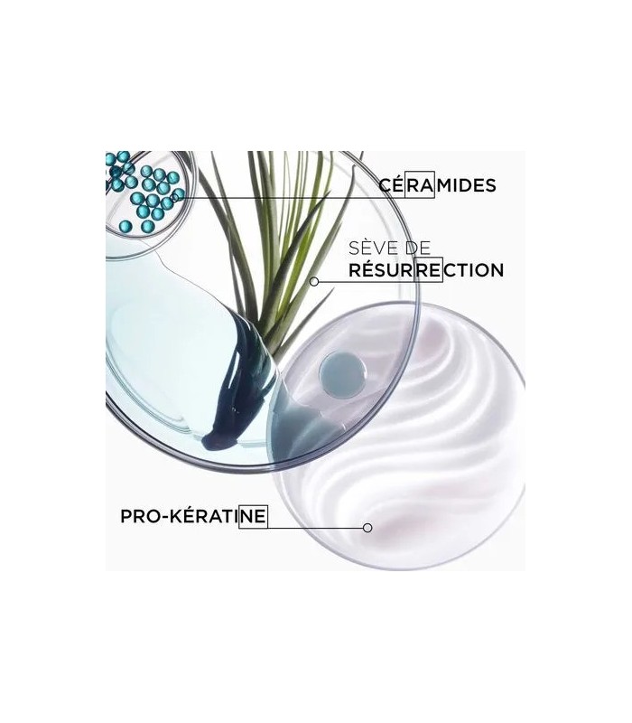 RESISTANCE masque force architecte 200 ml