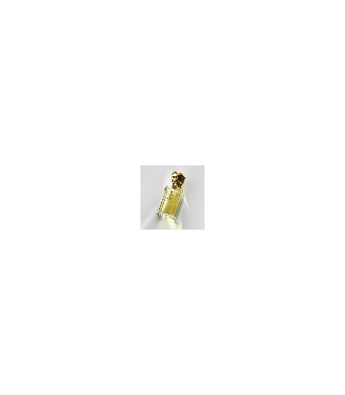 EAU DU SOIR eau de parfum 50 ml