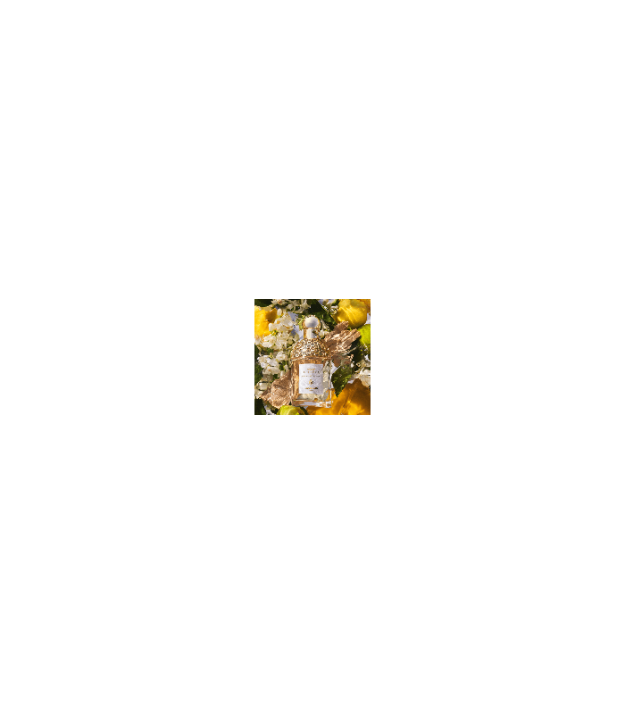 AQUA ALLEGORIA BERGAMOTE CALABRIA recharge  - eau de toilette 200 ml