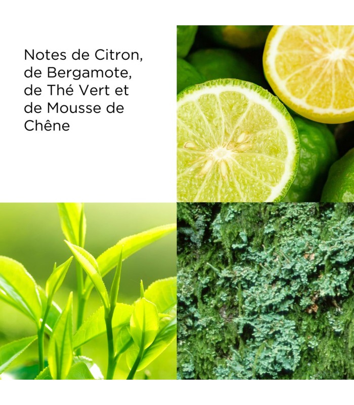 GREEN TEA Gel Energisant pour le bain 500 ml