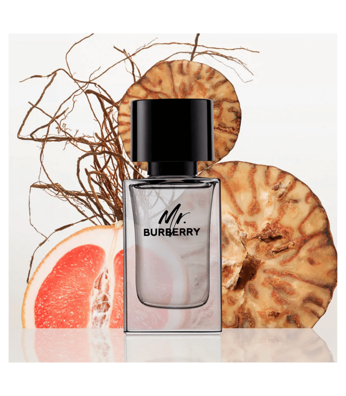 MR BURBERRY  - eau de toilette 50 ml