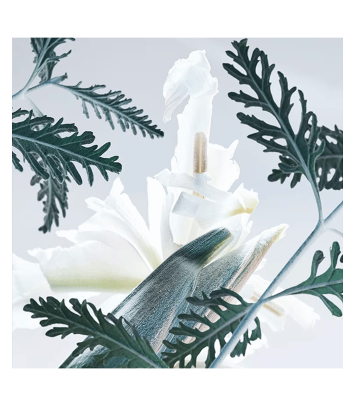 BVLGARI MAN GLACIAL ESSENCE  - eau de parfum 60 ml