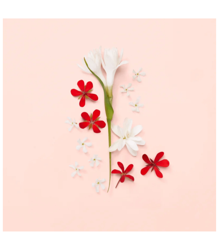 GUCCI BLOOM AMBROSIA DI FIORI  - eau de parfum 50 ml