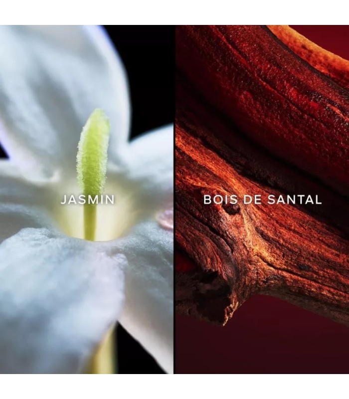 SAMSARA  - eau de toilette 75 ml