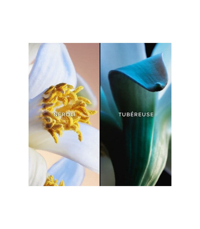 JARDINS DE BAGATELLE  - eau de toilette 75 ml