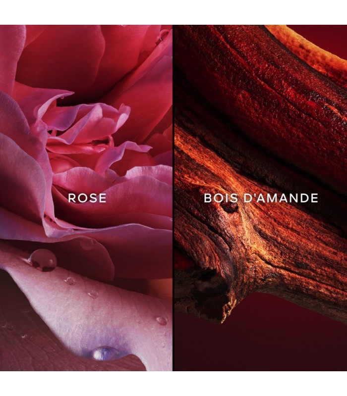 CHAMPS-ÉLYSÉES  - eau de toilette 75 ml