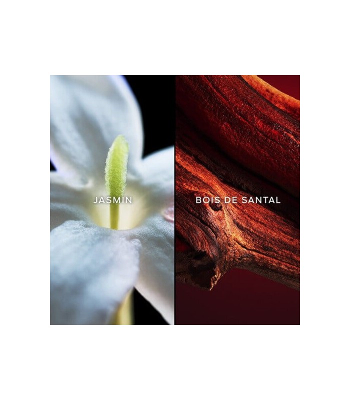 SAMSARA  - eau de parfum 75 ml