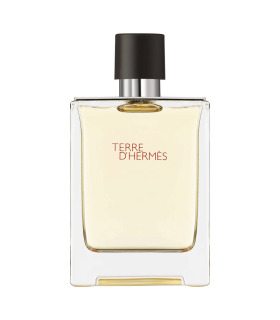 TERRE D'HERMÈS  - eau de toilette 100 ml