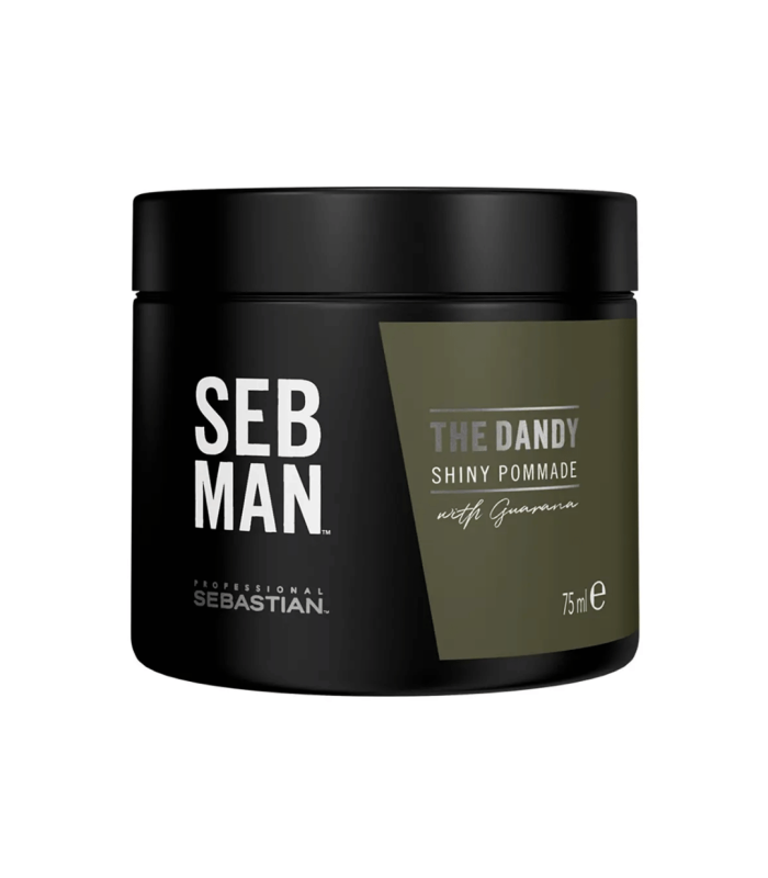 SEBMAN THE DANDY Cire Fixante & Brillante 75 ml