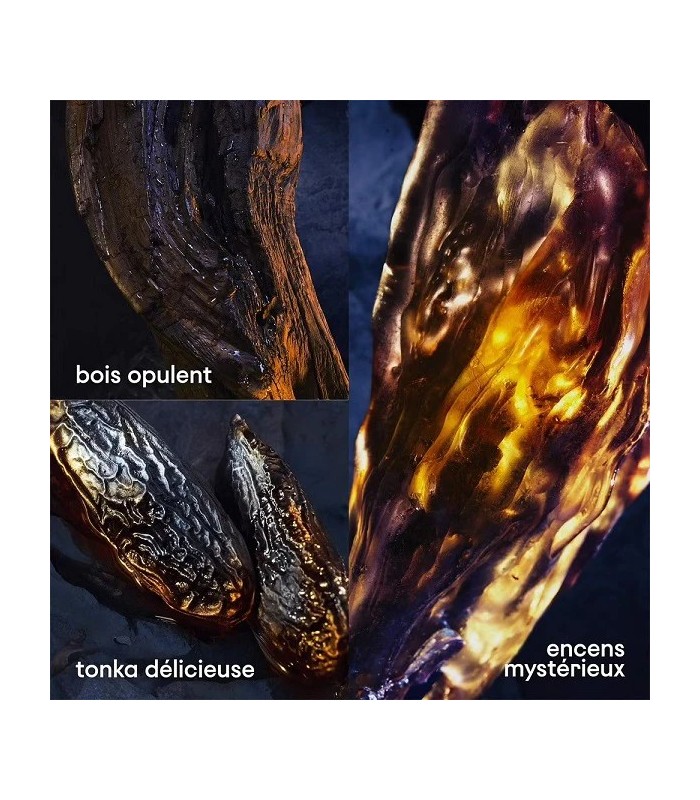 INVICTUS VICTORY ELIXIR  - eau de parfum 100 ml