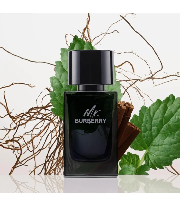 MR. BURBERRY eau de parfum 100 ml