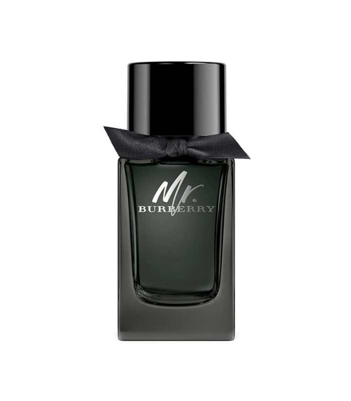 MR. BURBERRY eau de parfum 100 ml