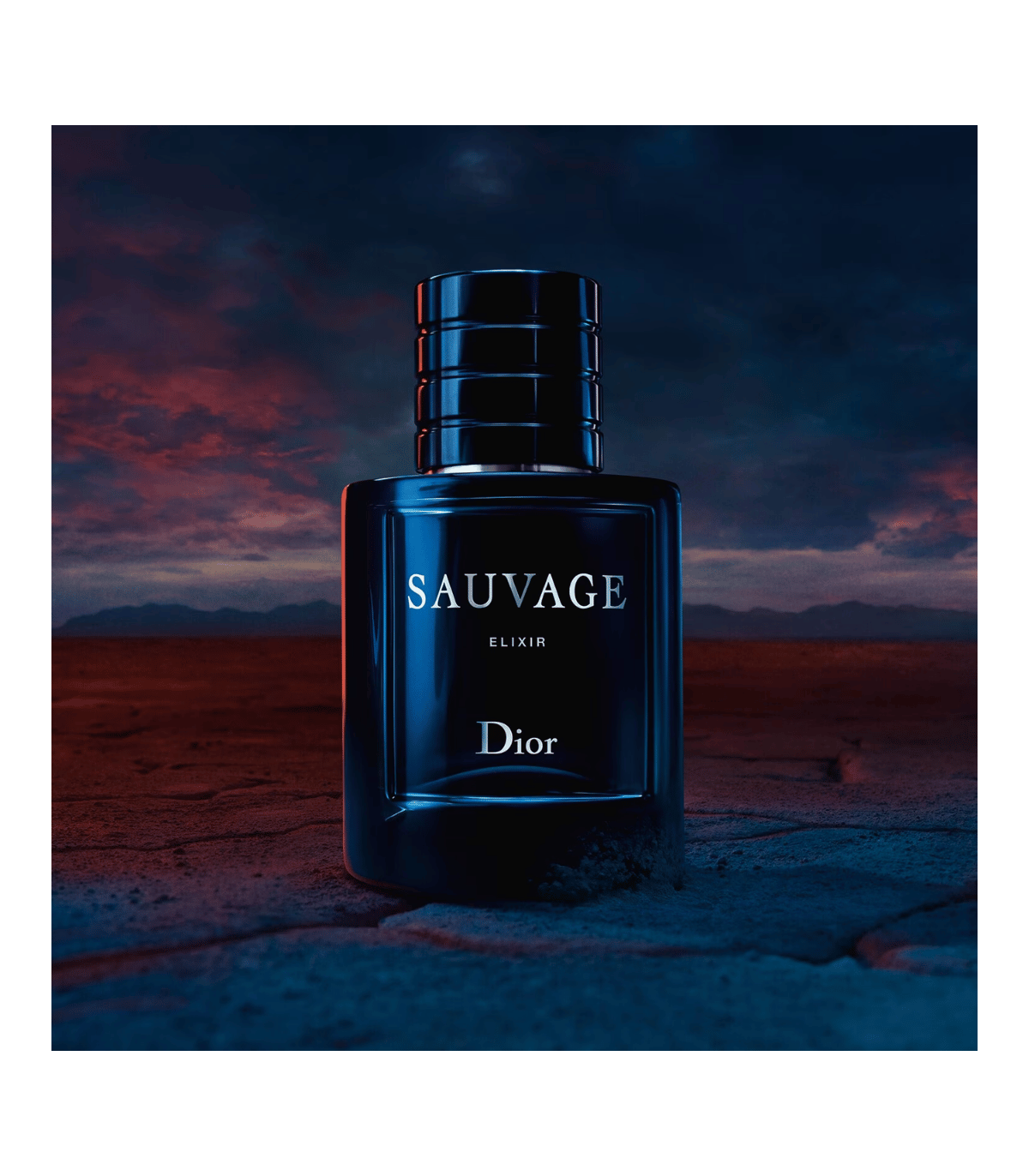 SAUVAGE ELIXIR Eau De Parfum SAUVAGE ELIXIR Eau De Parfum
