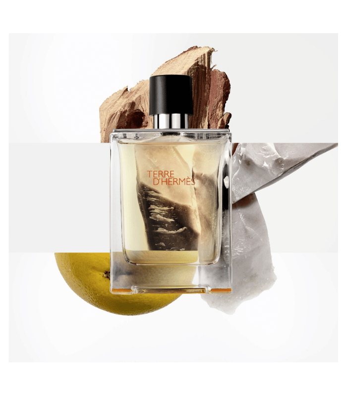 TERRE D'HERMÈS  - eau de toilette 100 ml
