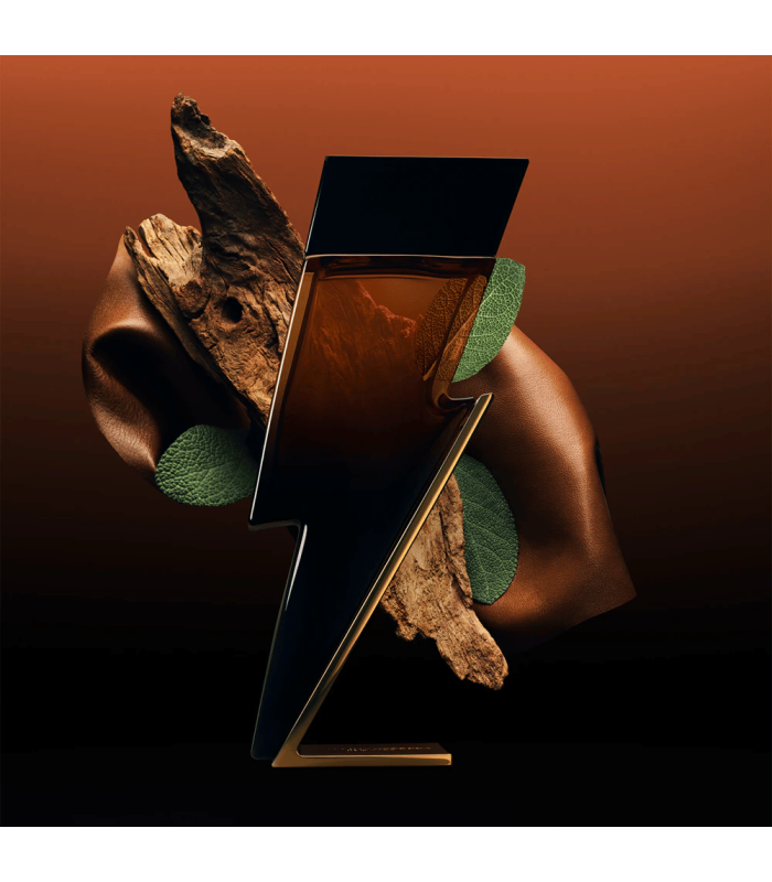 BAD BOY ELIXIR eau de parfum 100 ml