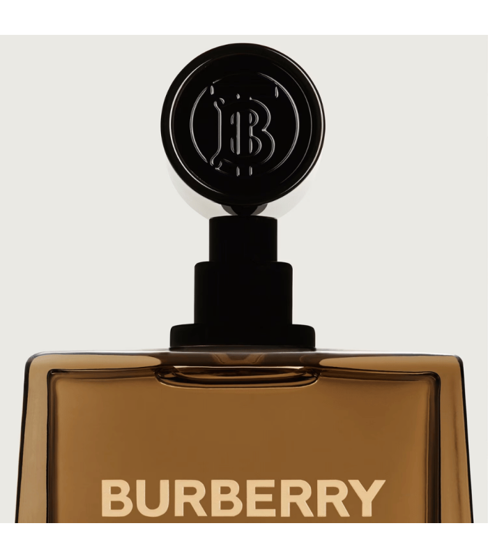 BURBERRY HERO - Eau de Parfum 150 ml