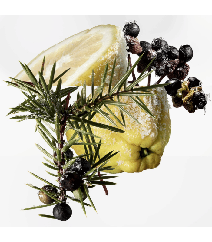 TERRE D'HERMES EAU GIVREE - Eau de Parfum rechargeable 175 ml