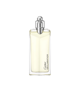 DÉCLARATION  - eau de toilette 100 ml