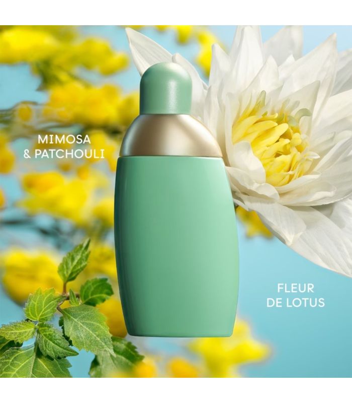 EDEN - Eau de Parfum 50 ml