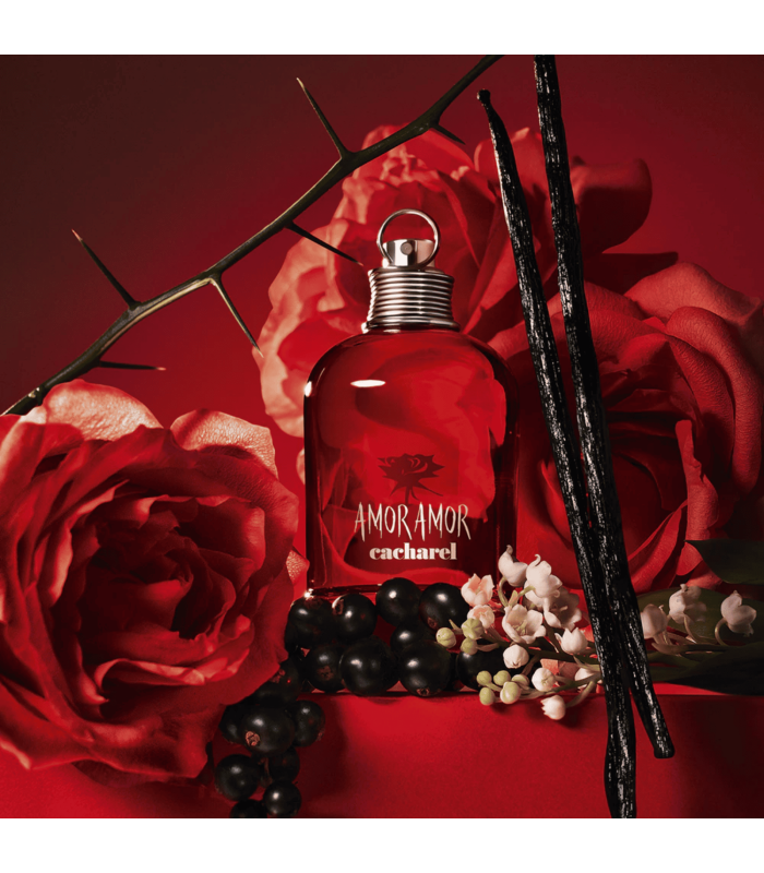 AMOR AMOR  - Coffret Eau de Toilette - 100 ml