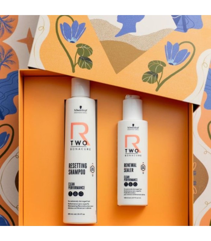 Coffret de Noël R-TWO réparation profonde