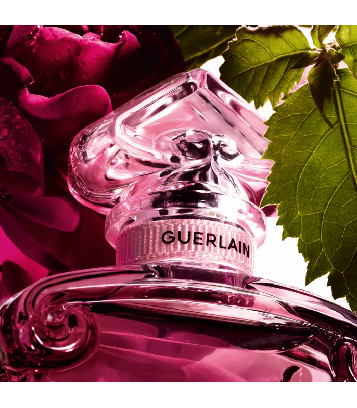 LA PETITE ROBE NOIRE ABSOLUE - eau de parfum 50 ml