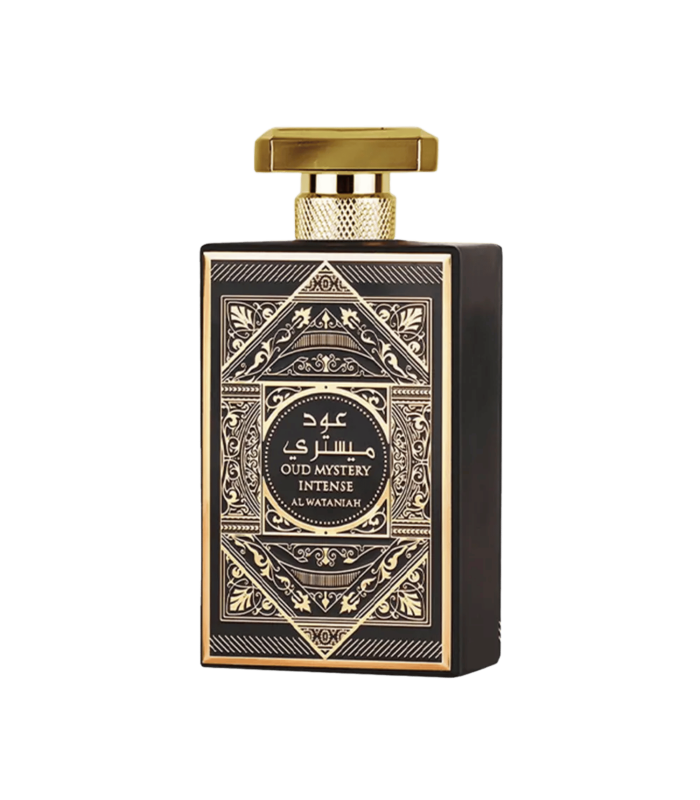 OUD MYSTÈRE INTENSE - eau de parfum 100 ml