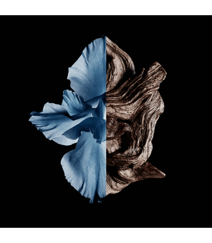 GENTLEMAN INTENSE - eau de toilette 100 ml