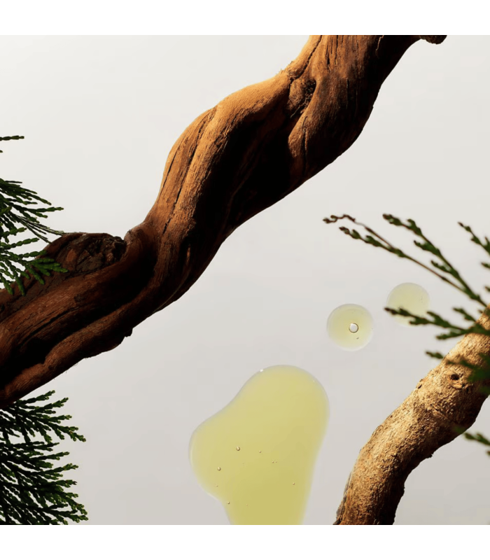 RITUALS HOMMES - Coffret Voyage