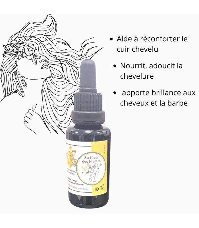 Macérât d’Immortelle de Corse - 30ml