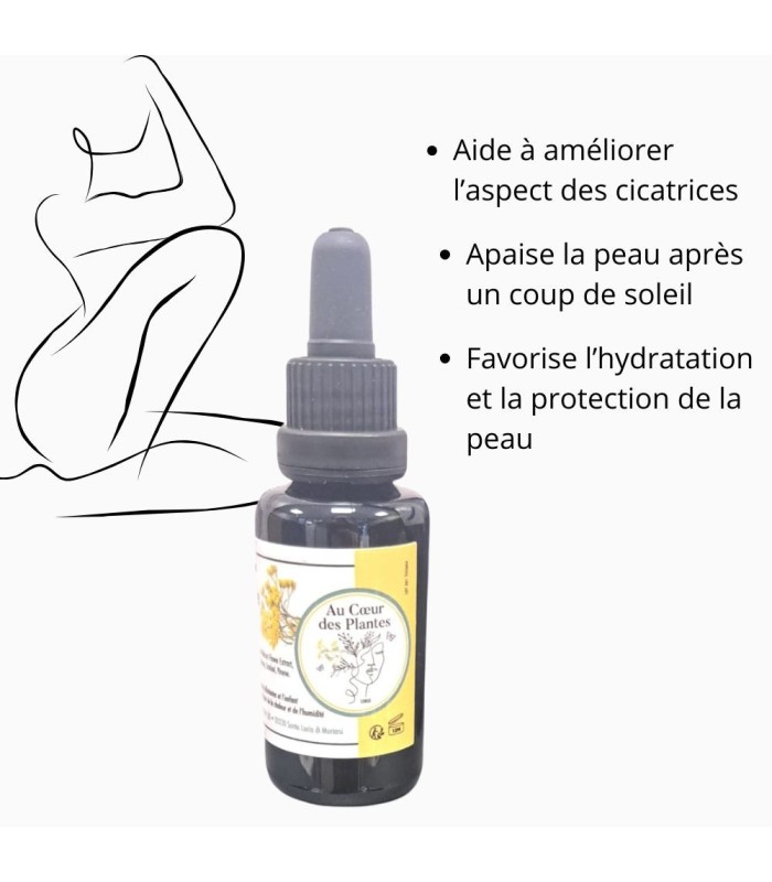 Macérât d’Immortelle de Corse - 30ml