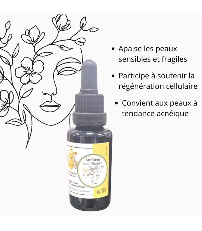 Macérât d’Immortelle de Corse - 30ml