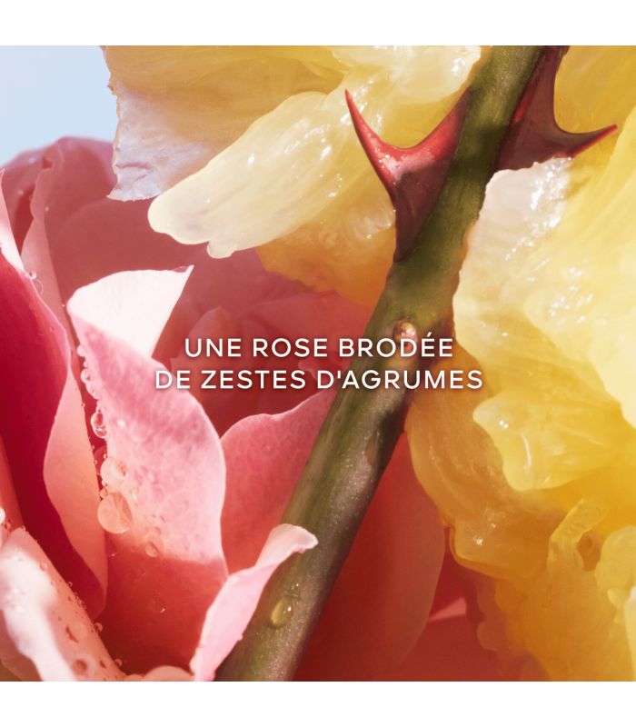 LA PETITE ROBE NOIRE  - eau de toilette 100 ml