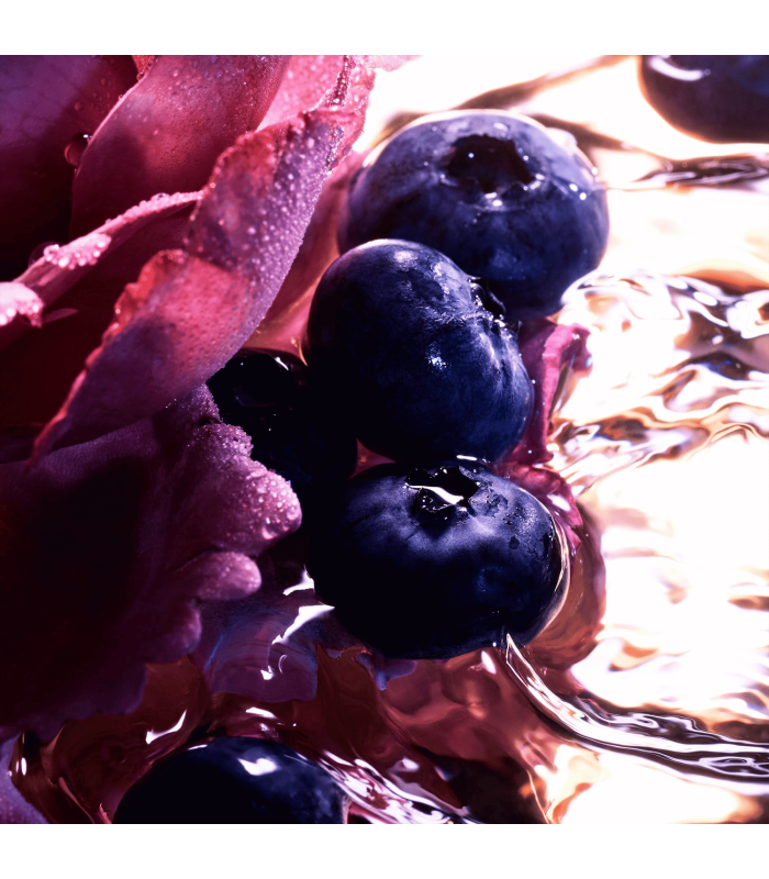 LA PETITE ROBE NOIRE INTENSE - Eau de Parfum 100 ml